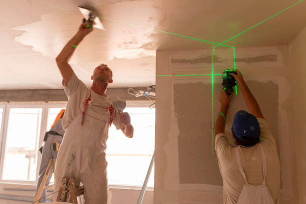 Forensic Mold Investigation in Dublin, VA